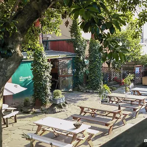https://backpackers-home-seogwipo.jejukoreahotels.com